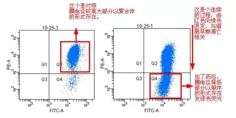 试剂盒的原理_美国Abraxis腹泻性贝类毒素DSP检测试剂盒(2)