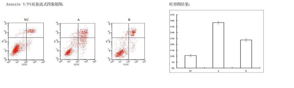 采用流式细胞仪annexin v/pi双染法检测细胞凋亡